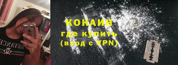 дживик Арсеньев