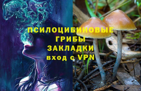 кокс Аркадак